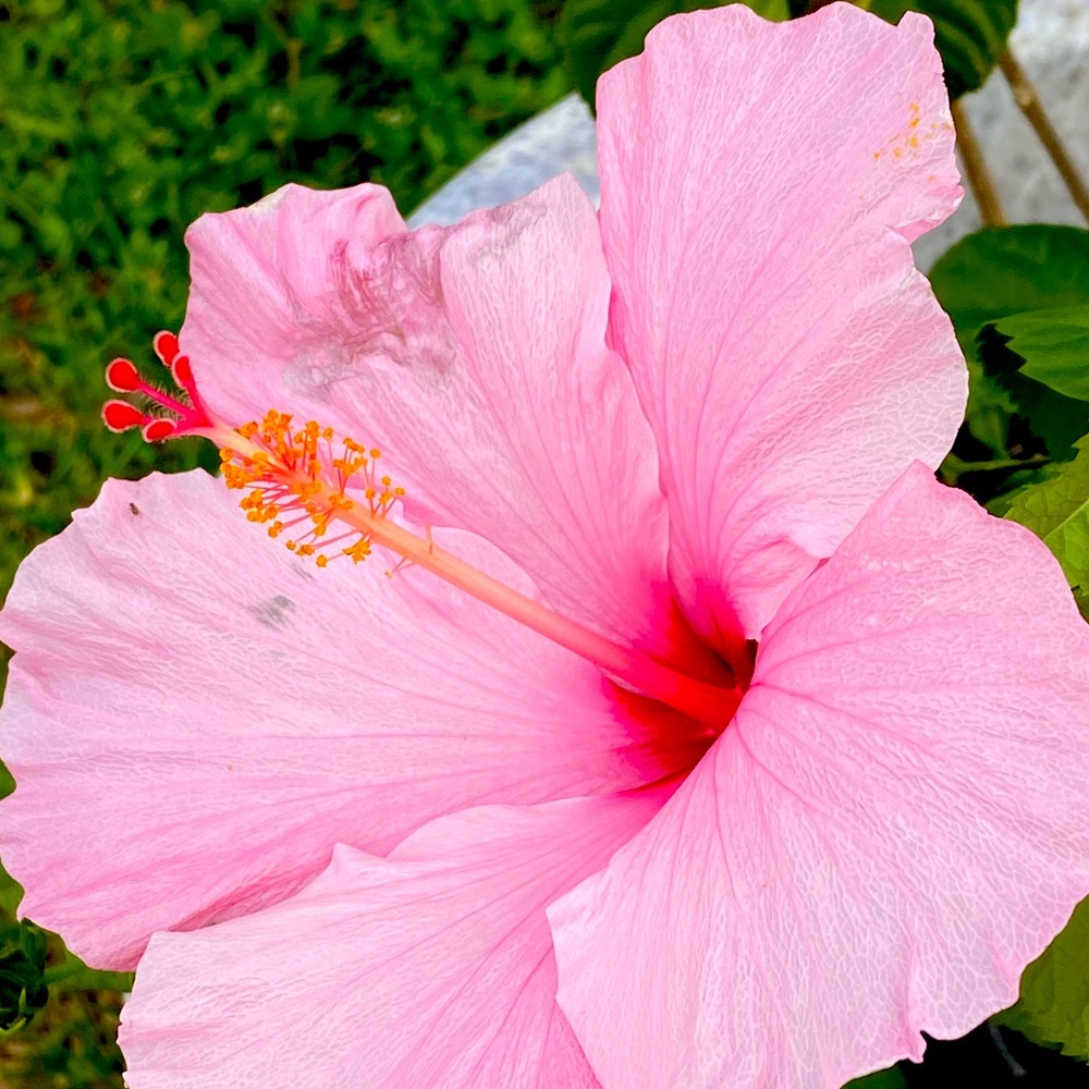 Meet your Posher, Linda